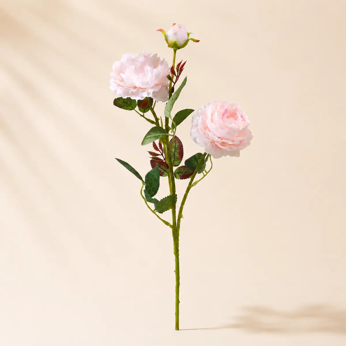 EVERIVELLE European Artificial Peony Stem