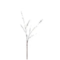 EVERIVELLE 31.5-Inch Two-Branch Artificial Foxtail Grass Spray