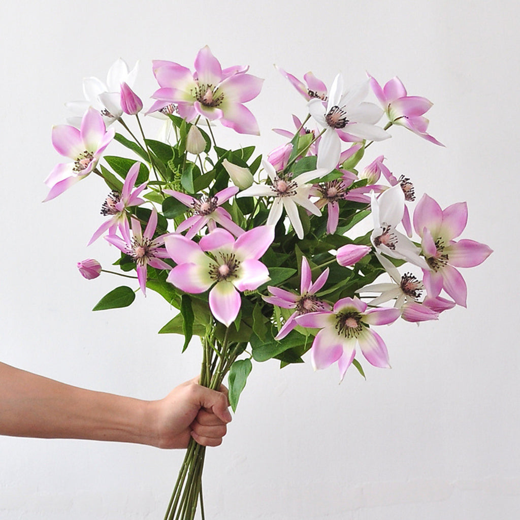 EVERIVELLE Artificial Clematis Flower Stem