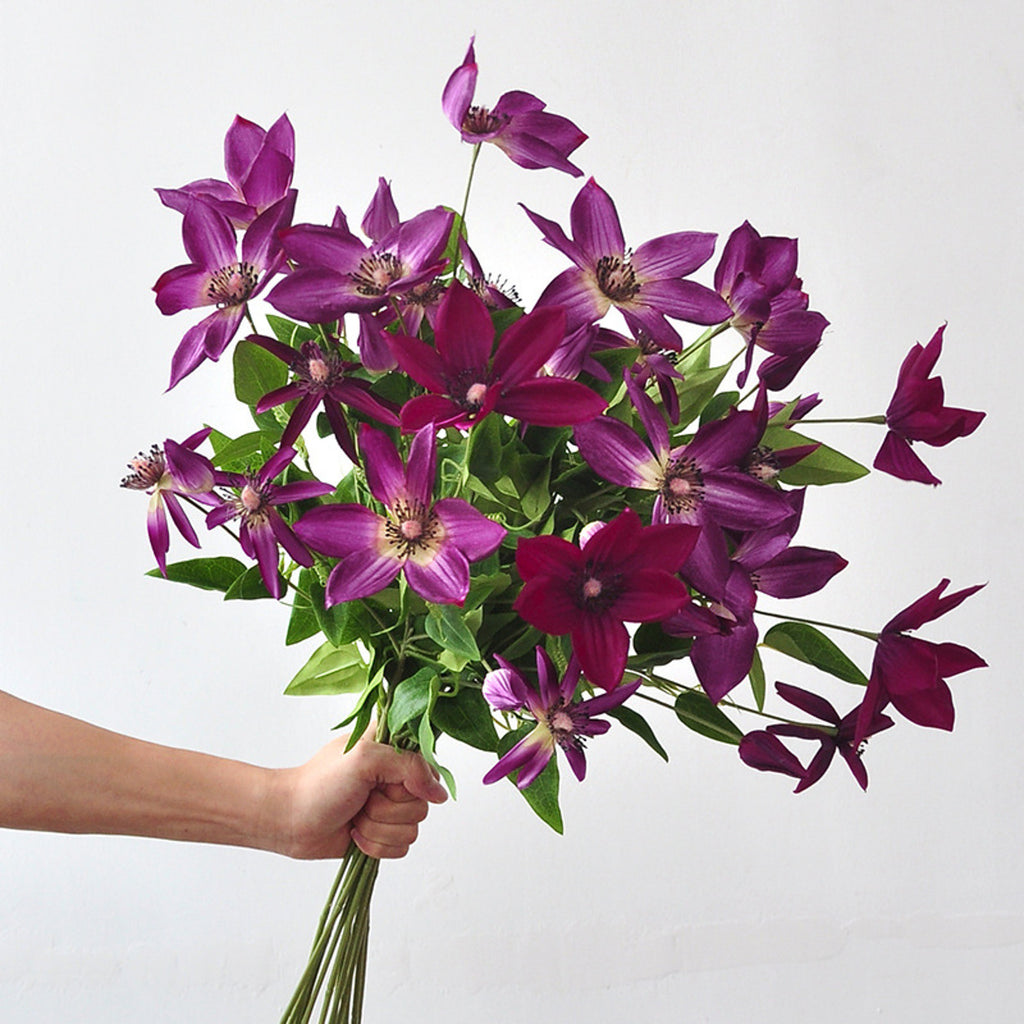 EVERIVELLE Artificial Clematis Flower Stem