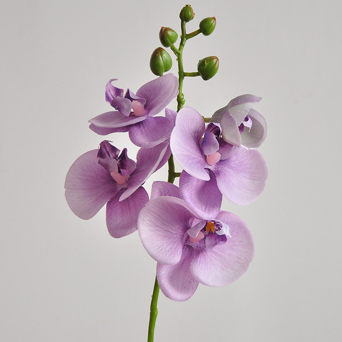 EVERIVELLE 19.7-Inch Mini Soft-Touch Artificial Phalaenopsis Orchid Stem