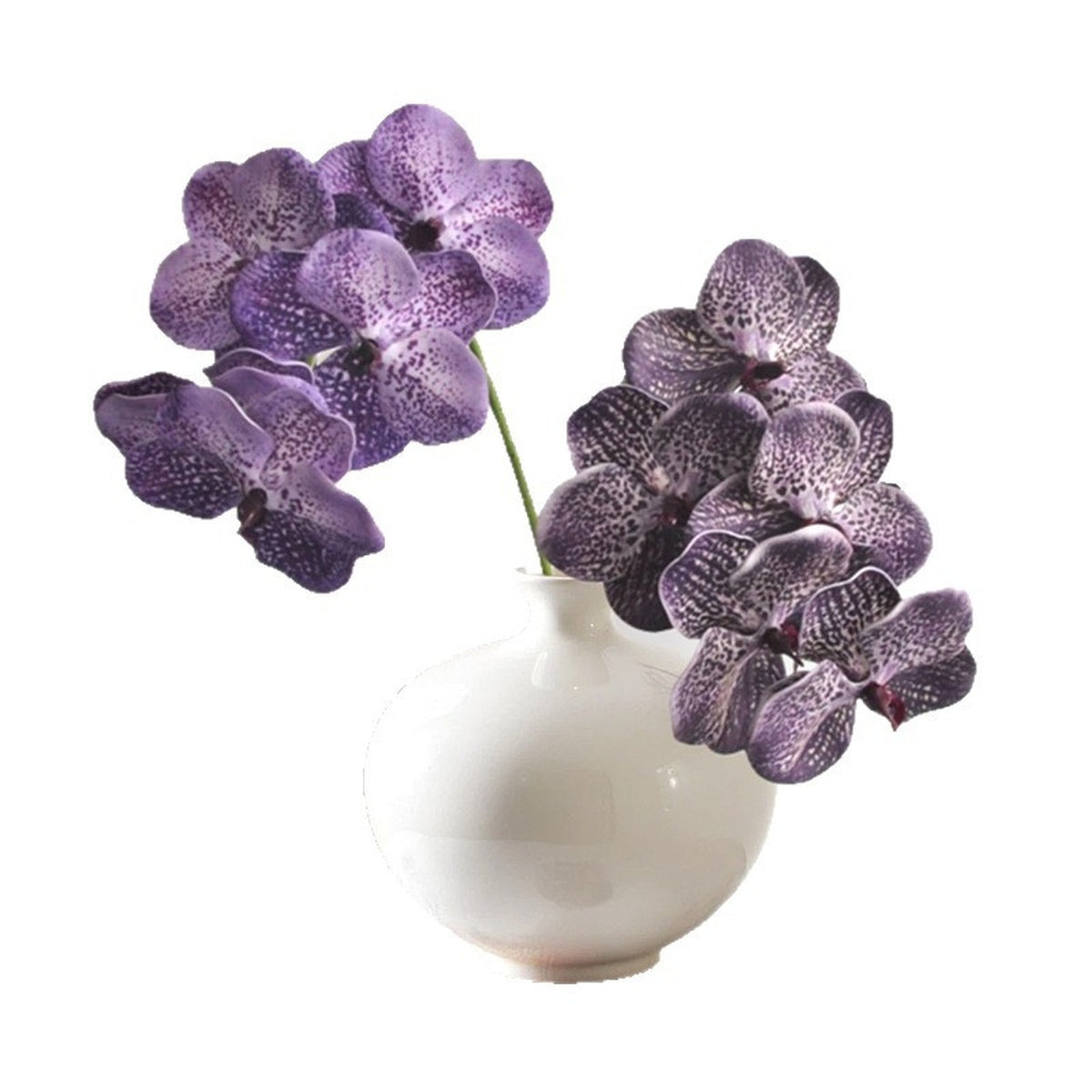 EVERIVELLE 3D Artificial Phalaenopsis Orchid Stem