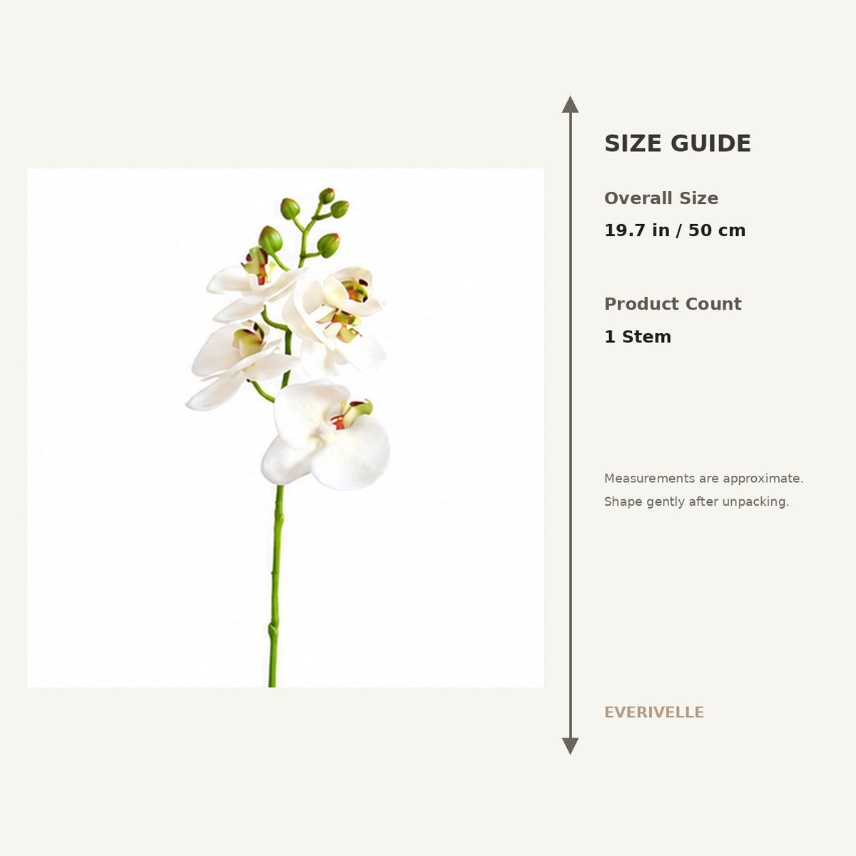EVERIVELLE 19.7-Inch Mini Soft-Touch Artificial Phalaenopsis Orchid Stem