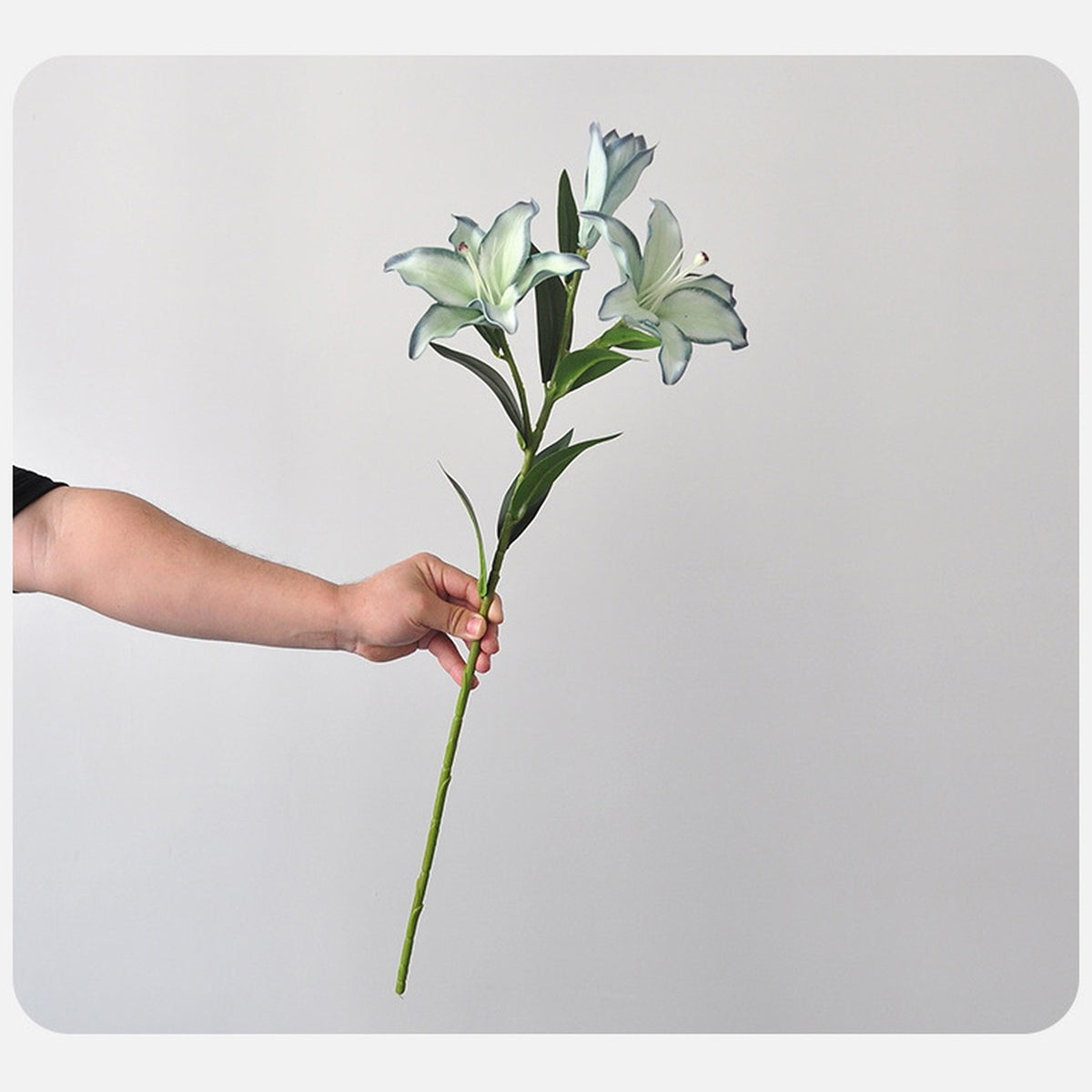 EVERIVELLE Three-Head Painted Artificial Lily Stem