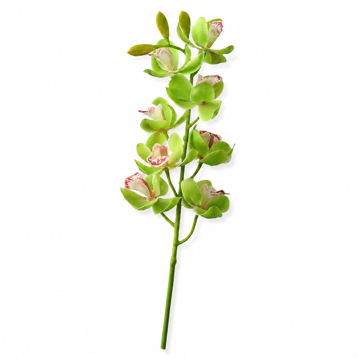 EVERIVELLE 27.2-Inch Green 3D Artificial Cymbidium Orchid Stem