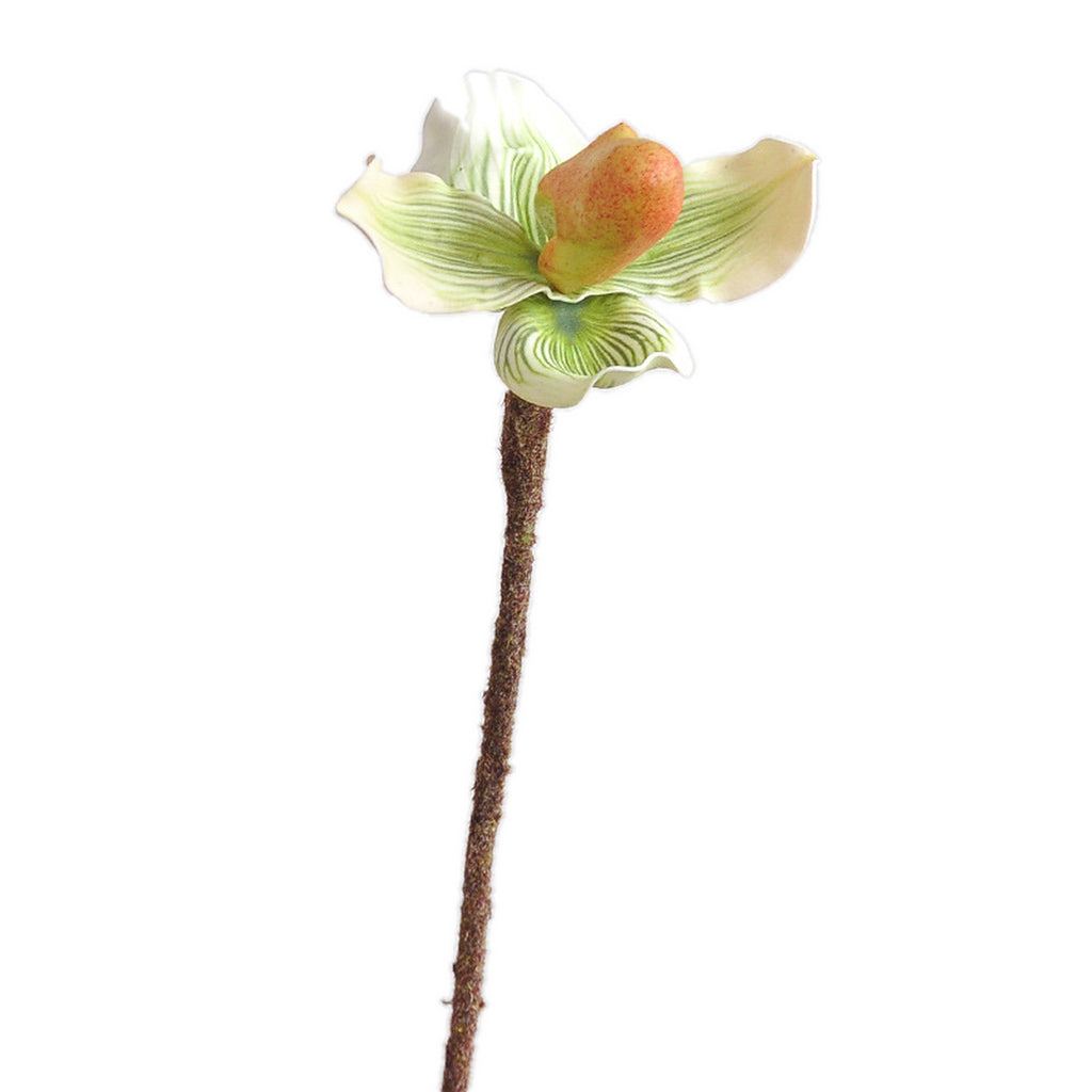 EVERIVELLE Artificial Paphiopedilum Slipper Orchid Stem