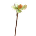 EVERIVELLE Artificial Paphiopedilum Slipper Orchid Stem