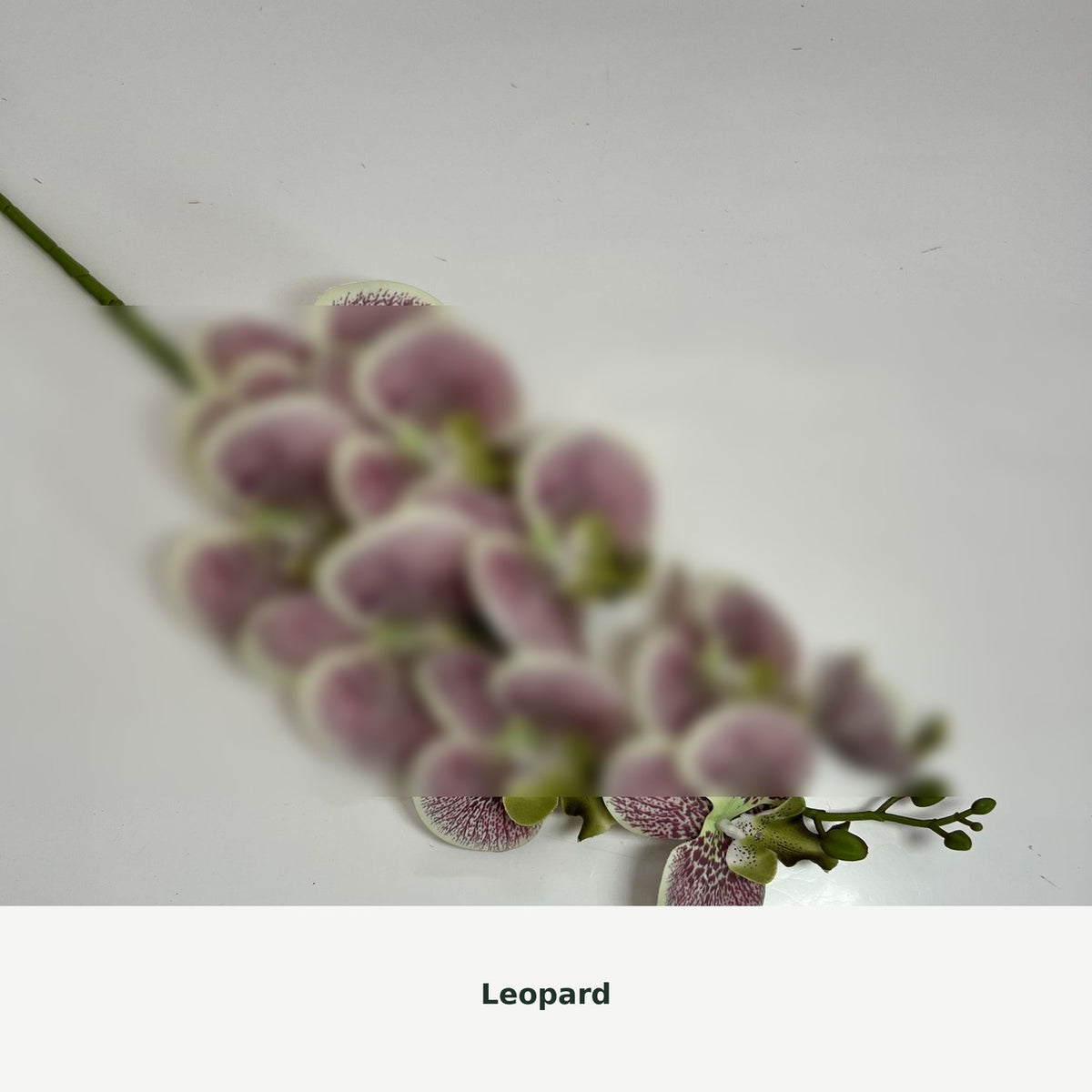 EVERIVELLE Nine-Head Artificial Phalaenopsis Orchid Stem