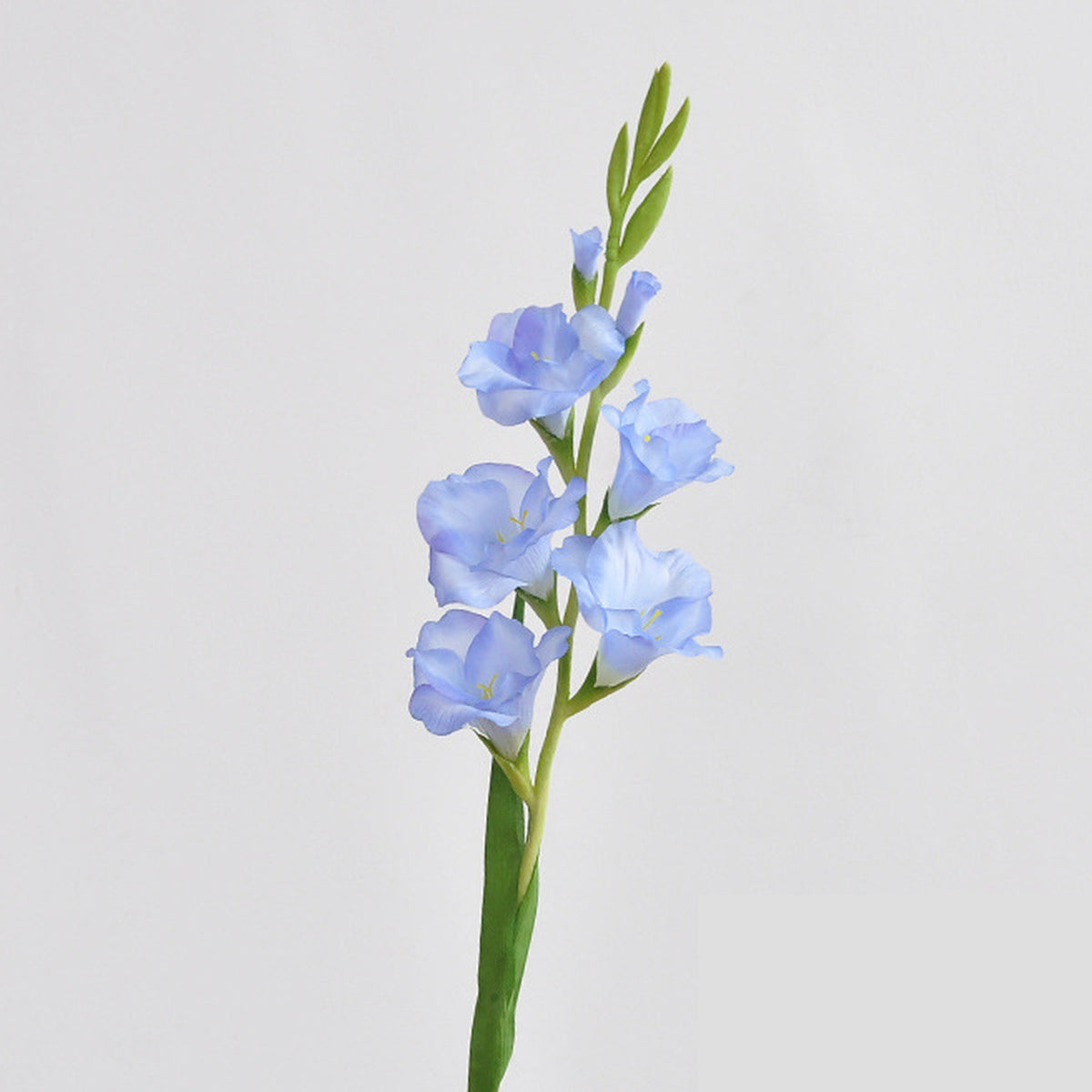 EVERIVELLE 35.4-Inch Artificial Gladiolus Stem