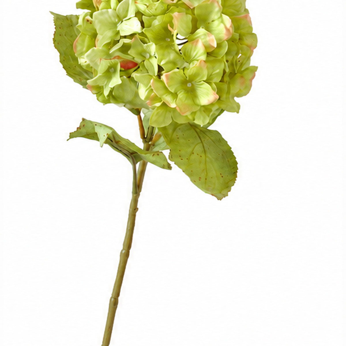 EVERIVELLE 26.8-Inch Dried-Look Artificial Hydrangea Stem