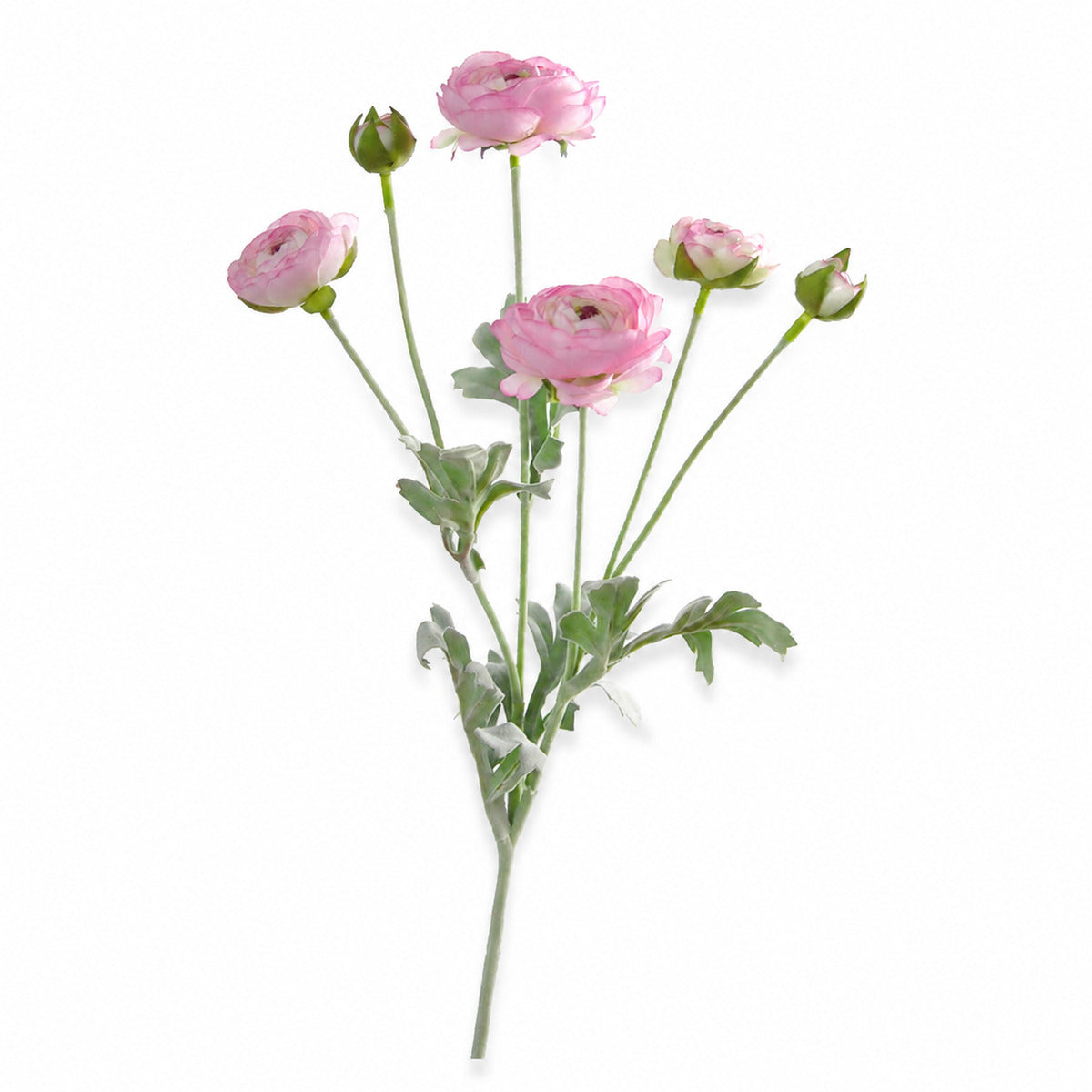 EVERIVELLE 27.2-Inch Six-Head Flocked Artificial Ranunculus Stem