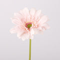 EVERIVELLE Real-Touch Artificial Gerbera Daisy Stem