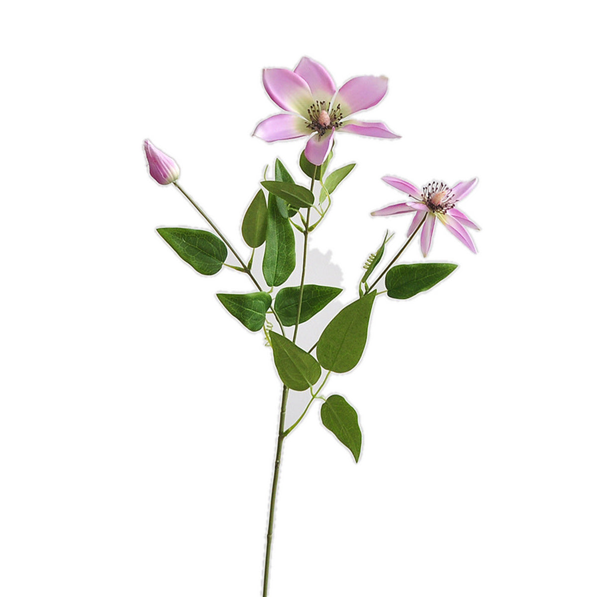 EVERIVELLE Artificial Clematis Flower Stem