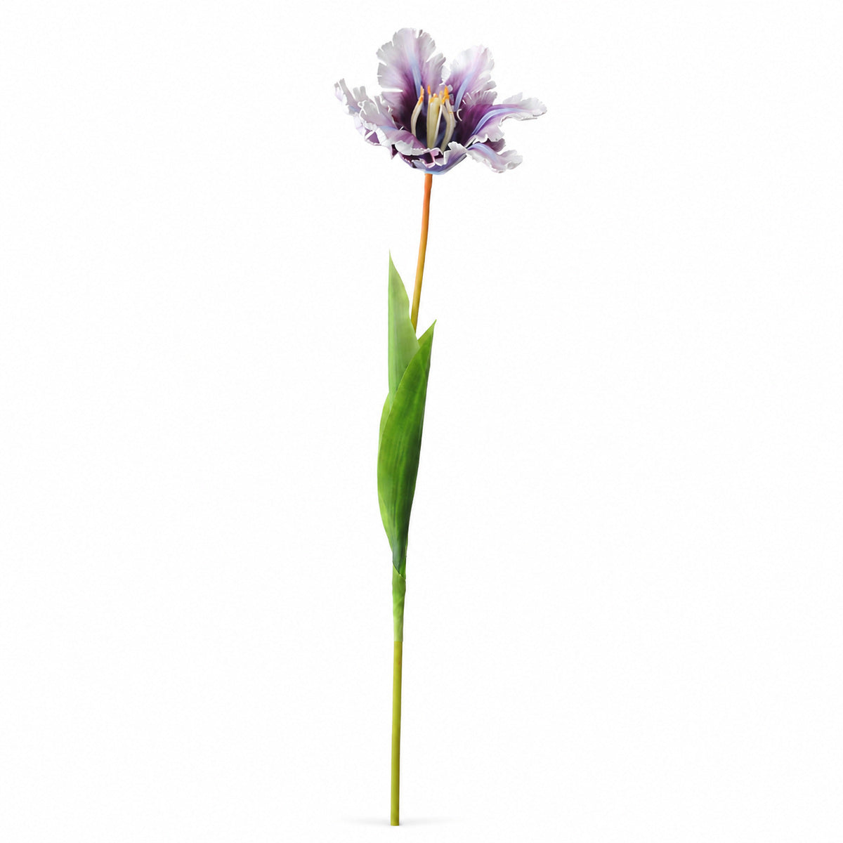 EVERIVELLE 27.6-Inch Open Parrot Artificial Tulip Stem