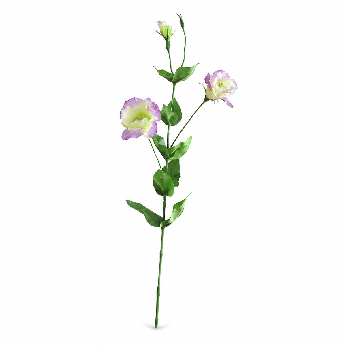 EVERIVELLE 32.3-Inch Artificial Lisianthus Flower Stem