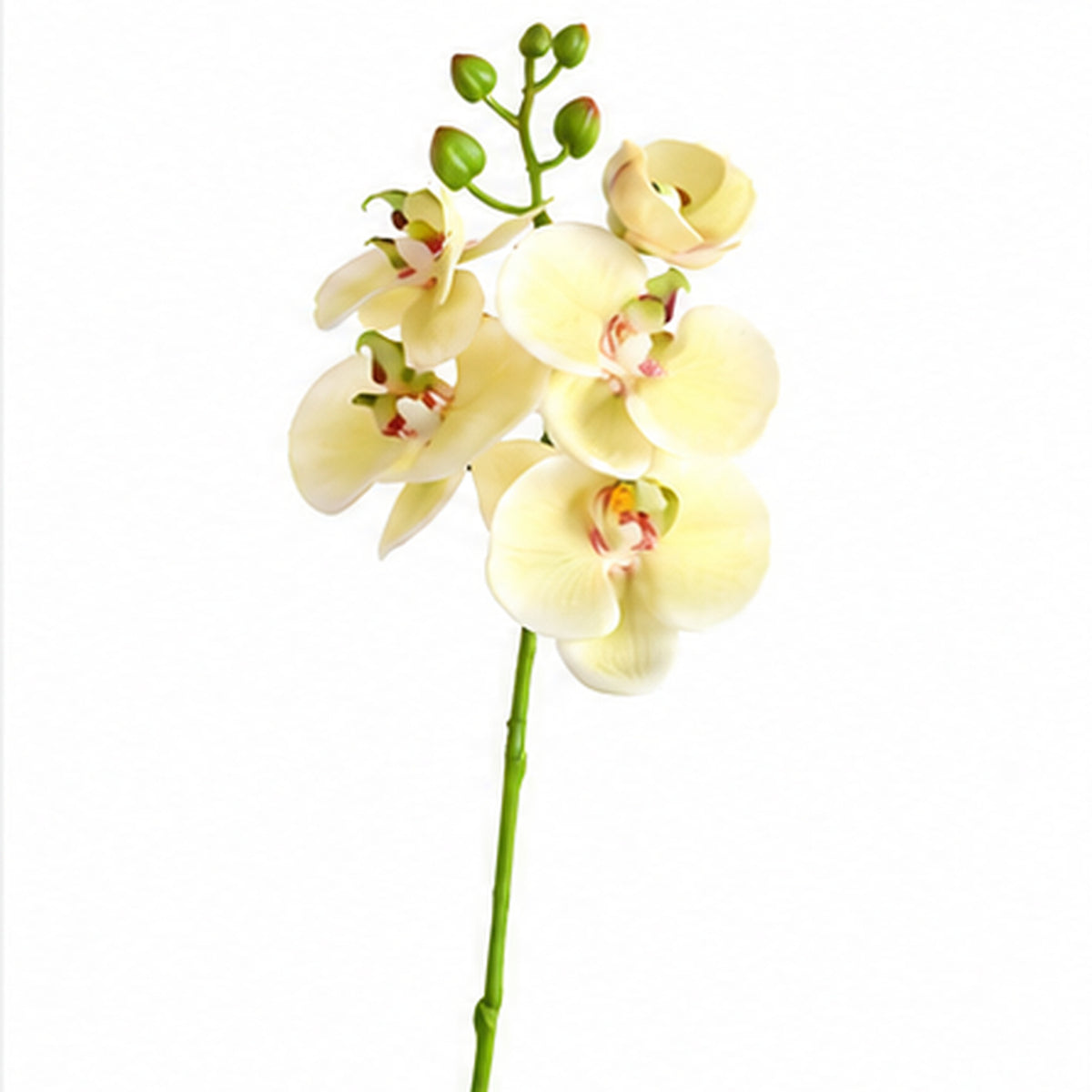 EVERIVELLE 19.7-Inch Mini Soft-Touch Artificial Phalaenopsis Orchid Stem