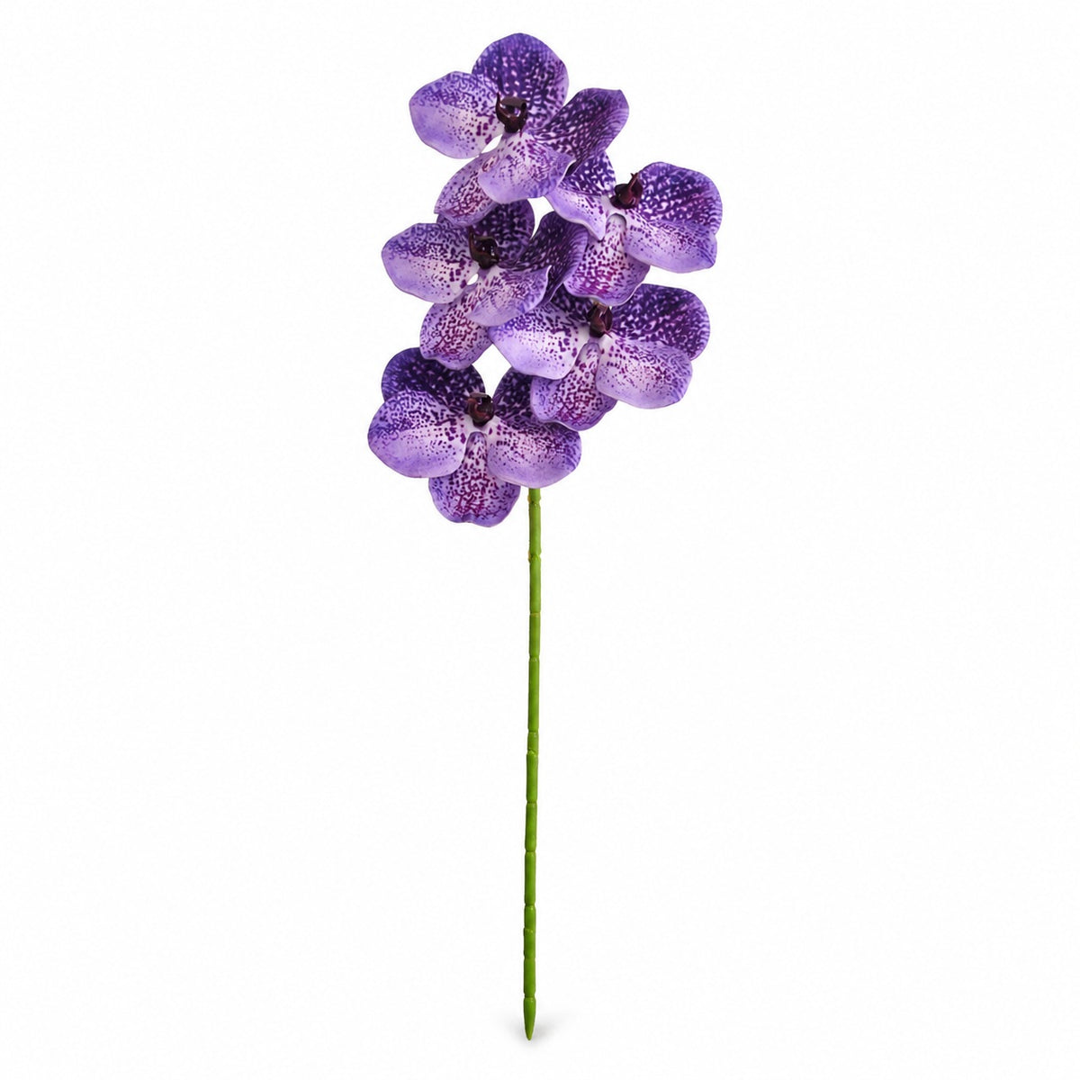 EVERIVELLE 3D Artificial Phalaenopsis Orchid Stem