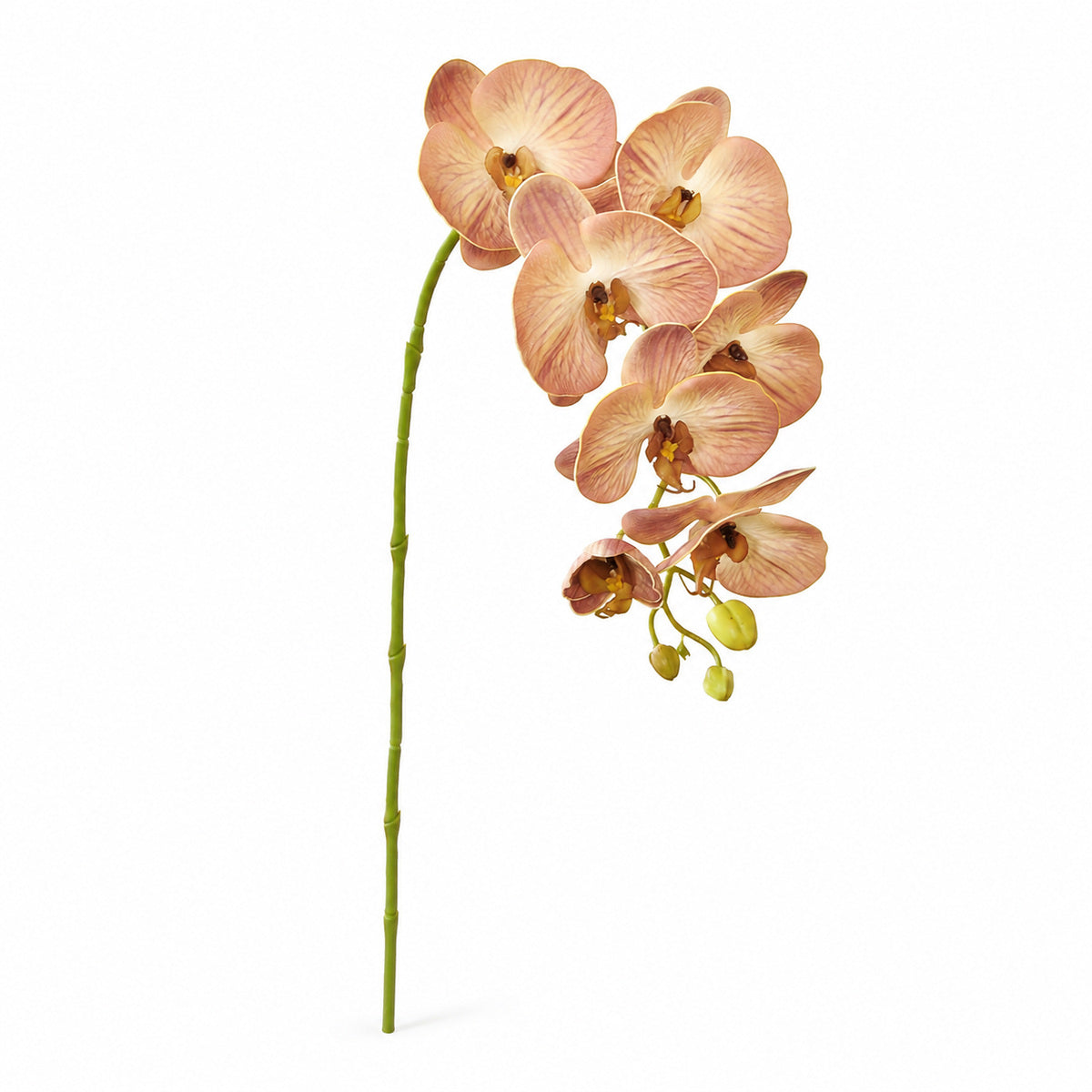 EVERIVELLE 29.9-Inch Seven-Head EVA Phalaenopsis Orchid Stem