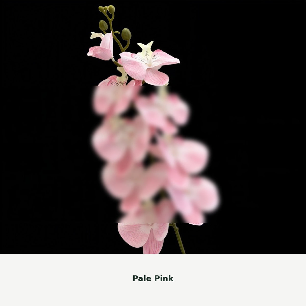 EVERIVELLE Nine-Head Artificial Phalaenopsis Orchid Stem