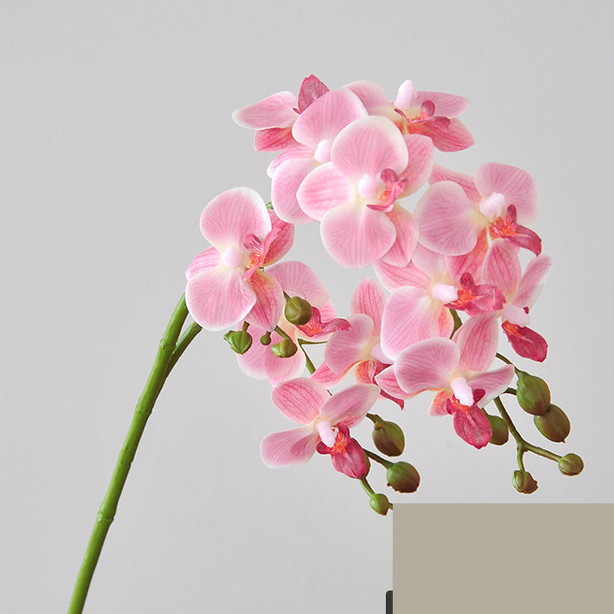EVERIVELLE 12-Bloom Artificial Phalaenopsis Orchid Stem