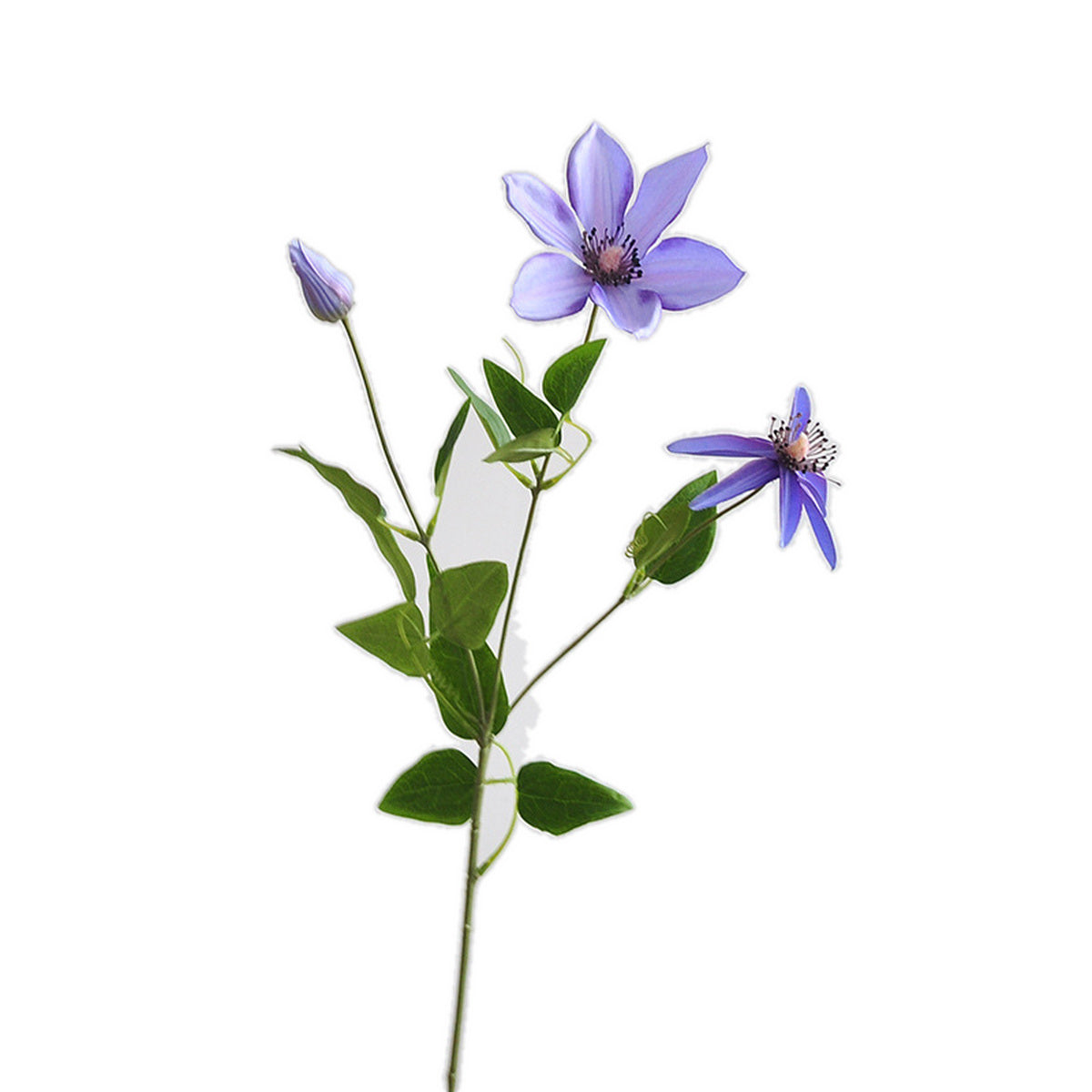 EVERIVELLE Artificial Clematis Flower Stem