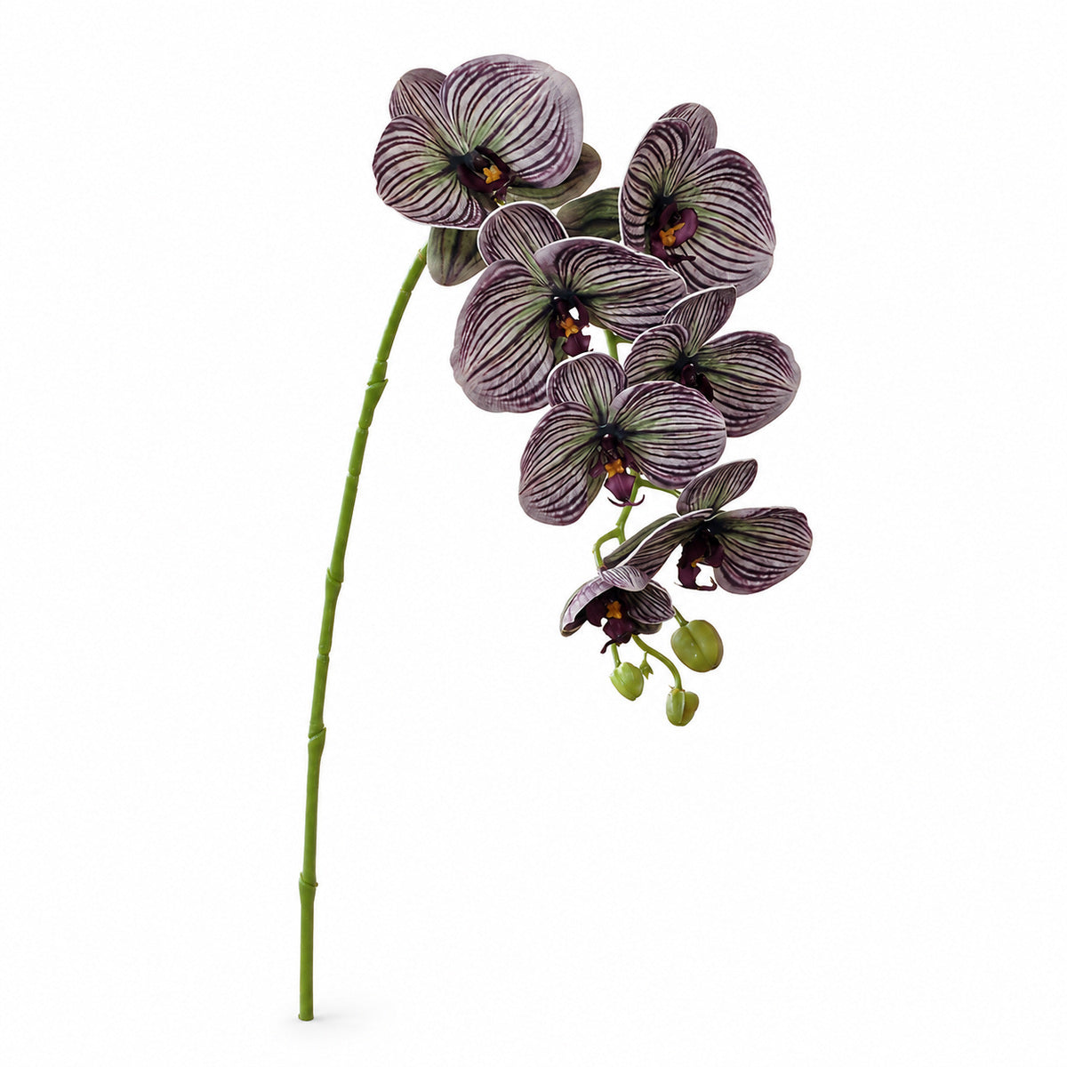 EVERIVELLE 29.9-Inch Seven-Head EVA Phalaenopsis Orchid Stem