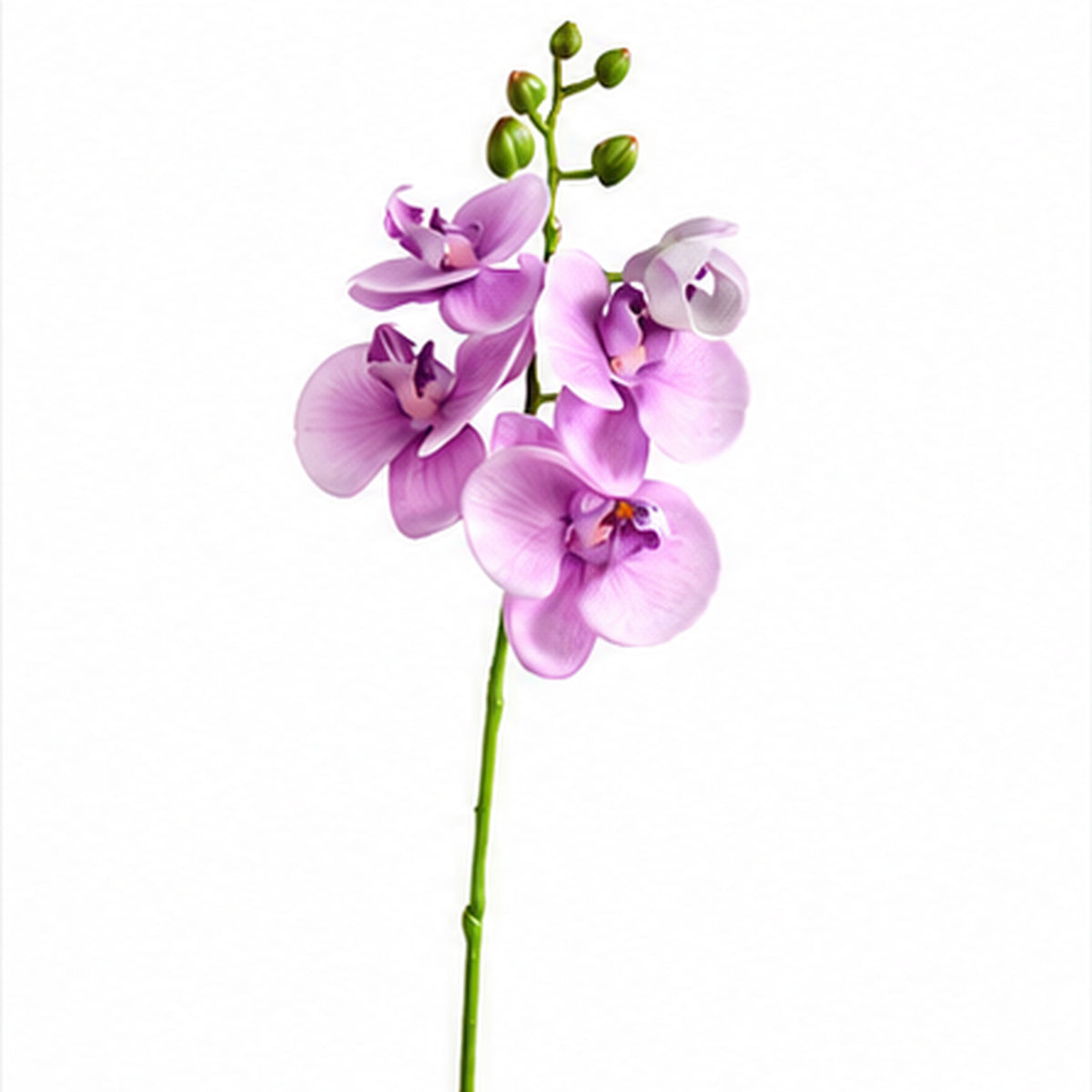 EVERIVELLE 19.7-Inch Mini Soft-Touch Artificial Phalaenopsis Orchid Stem