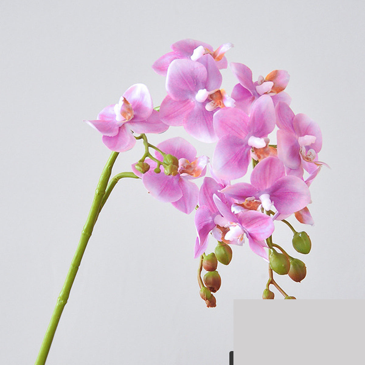 EVERIVELLE 12-Bloom Artificial Phalaenopsis Orchid Stem