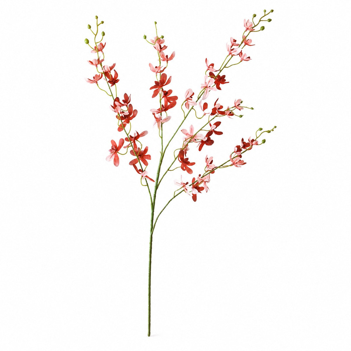 EVERIVELLE Five-Branch Artificial Vanda Orchid Stem