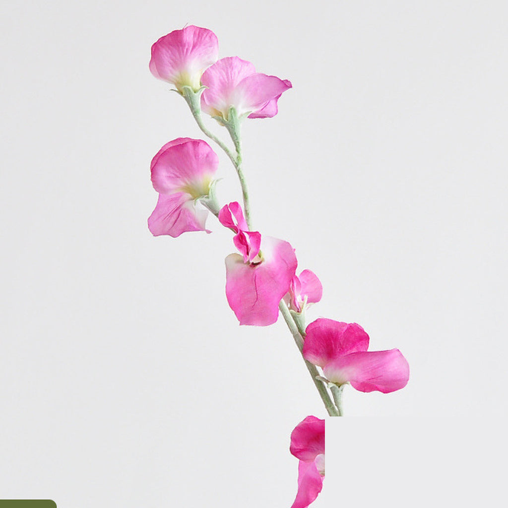 EVERIVELLE Artificial Sweet Pea Flower Stem