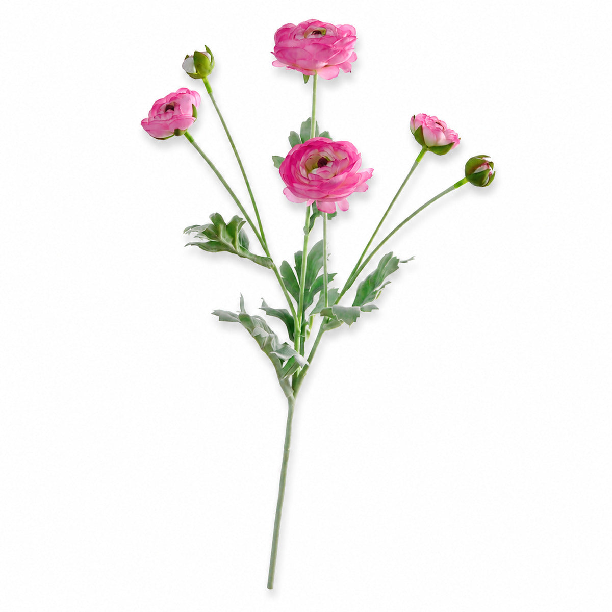 EVERIVELLE 27.2-Inch Six-Head Flocked Artificial Ranunculus Stem