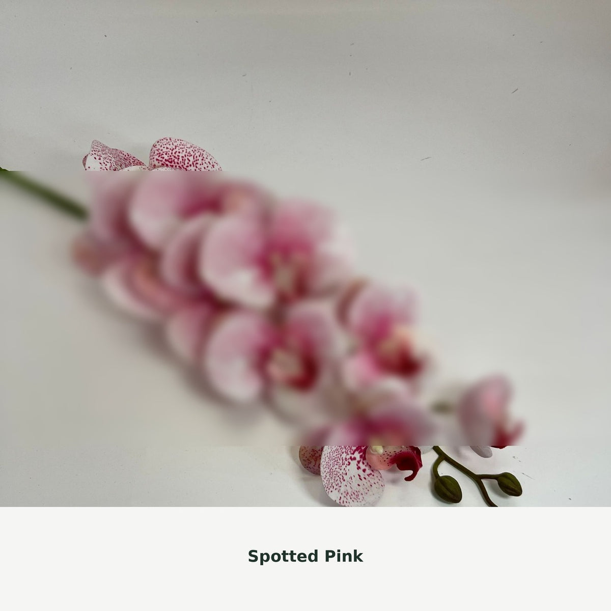 EVERIVELLE Nine-Head Artificial Phalaenopsis Orchid Stem