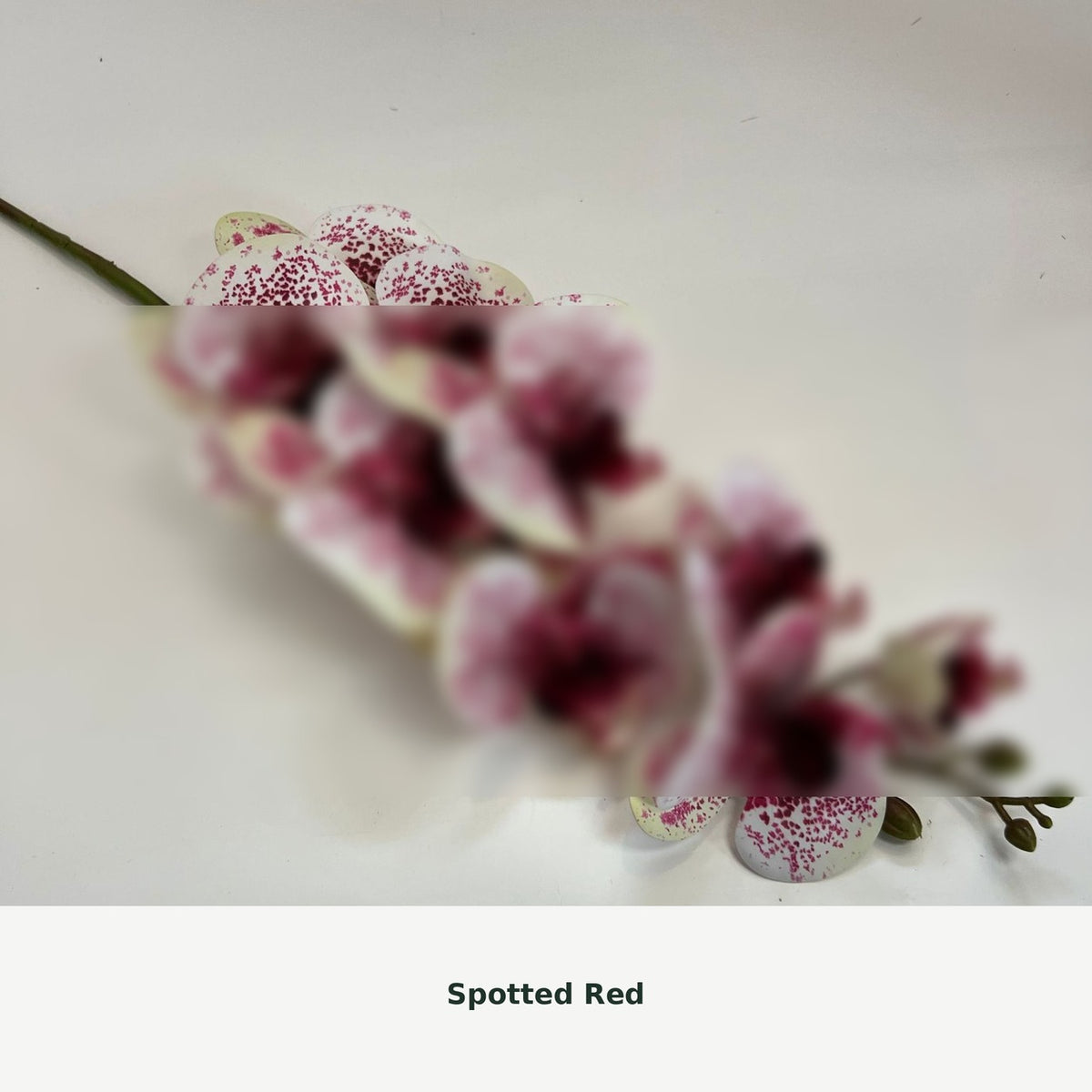 EVERIVELLE Nine-Head Artificial Phalaenopsis Orchid Stem