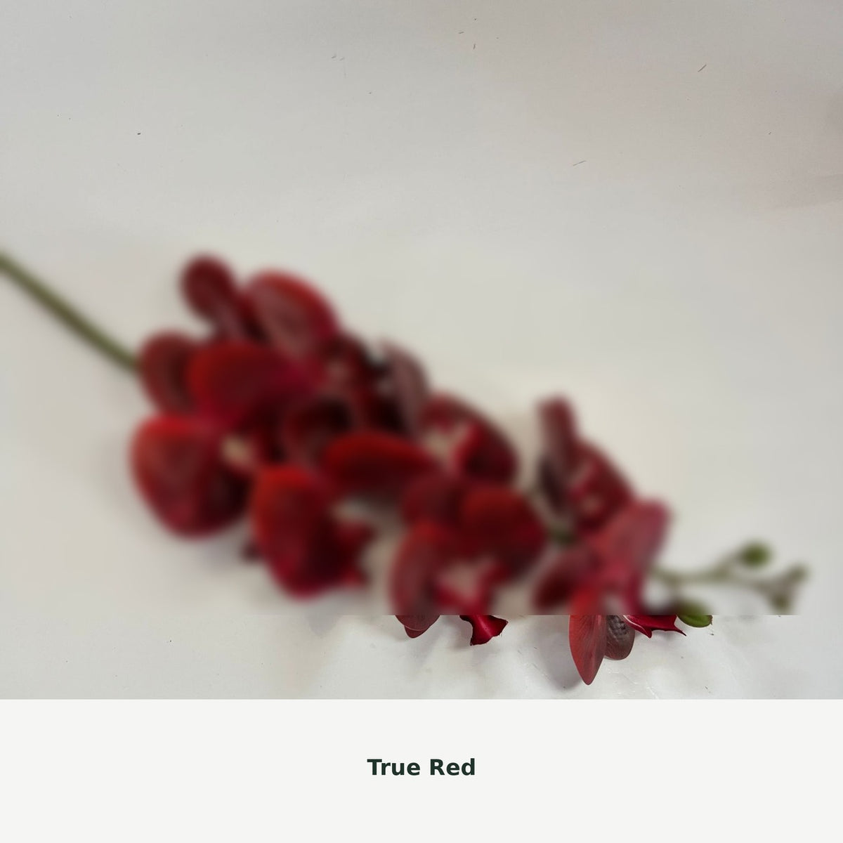 EVERIVELLE Nine-Head Artificial Phalaenopsis Orchid Stem