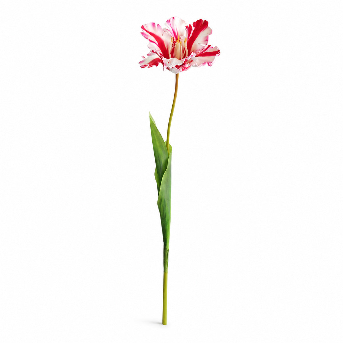 EVERIVELLE 27.6-Inch Open Parrot Artificial Tulip Stem