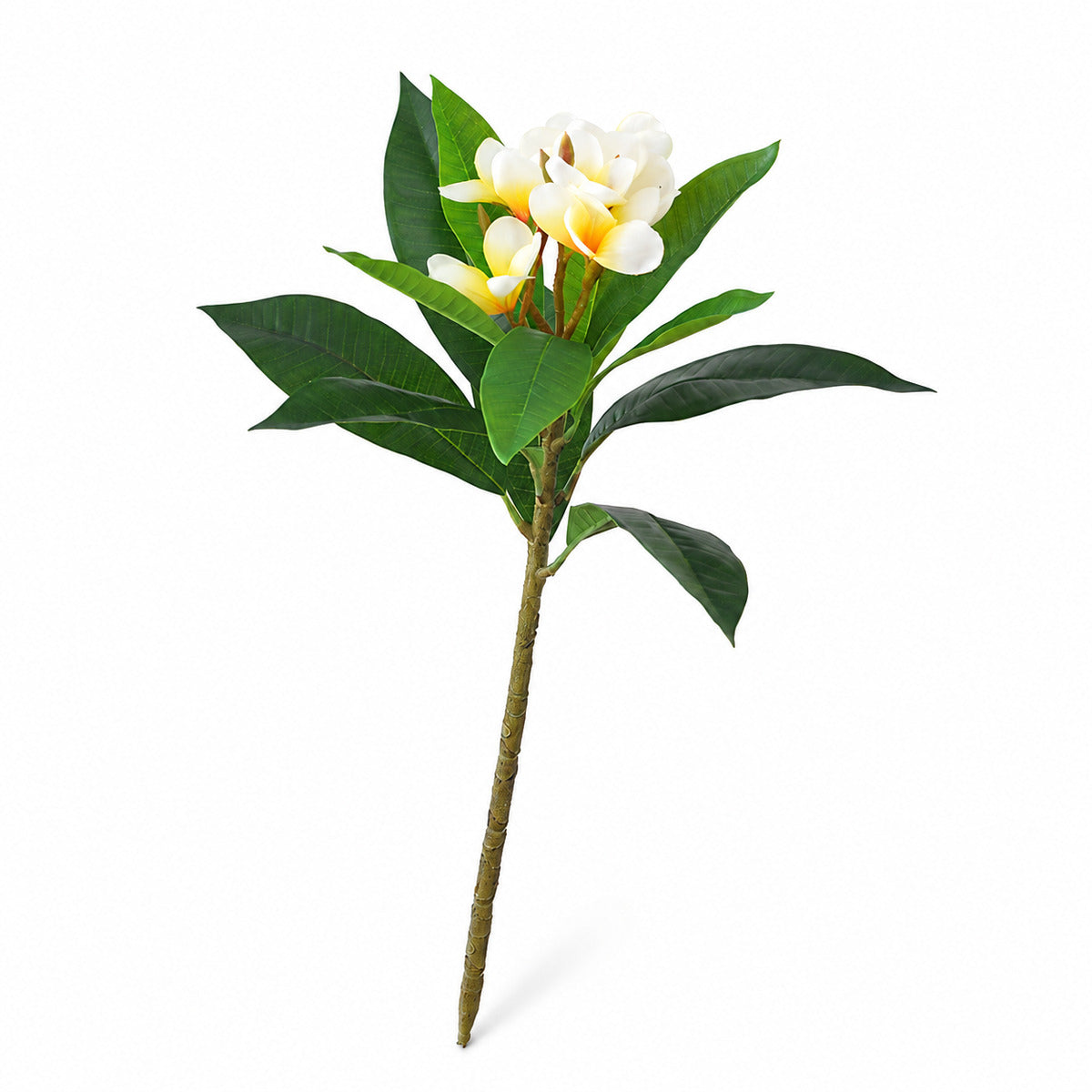 EVERIVELLE 24.4-Inch Artificial Plumeria Flower Branch