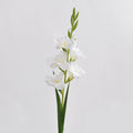 EVERIVELLE 35.4-Inch Artificial Gladiolus Stem