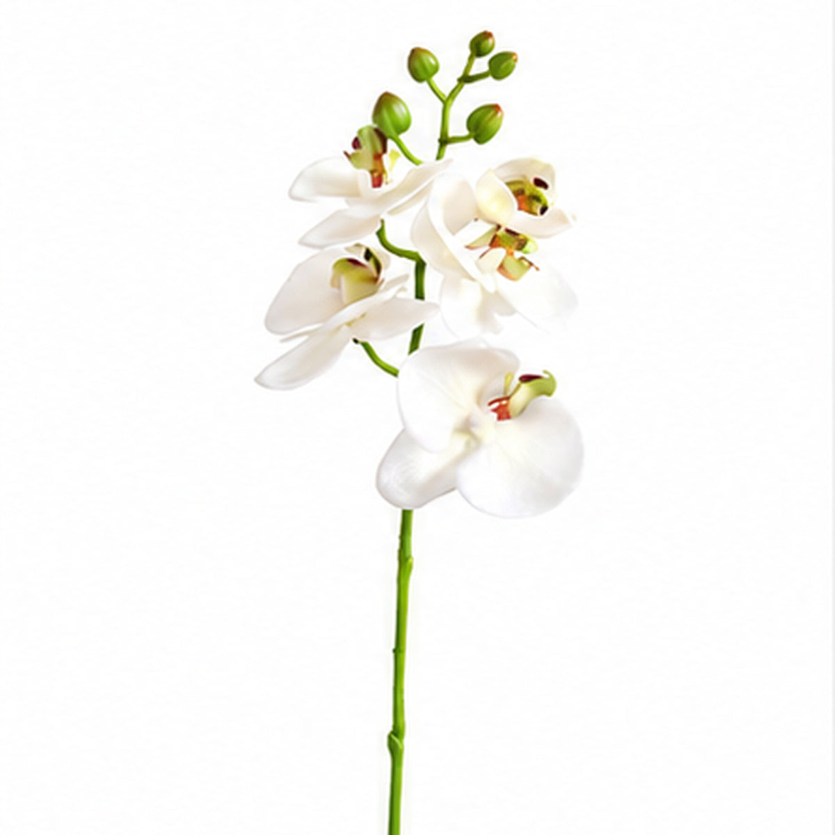 EVERIVELLE 19.7-Inch Mini Soft-Touch Artificial Phalaenopsis Orchid Stem