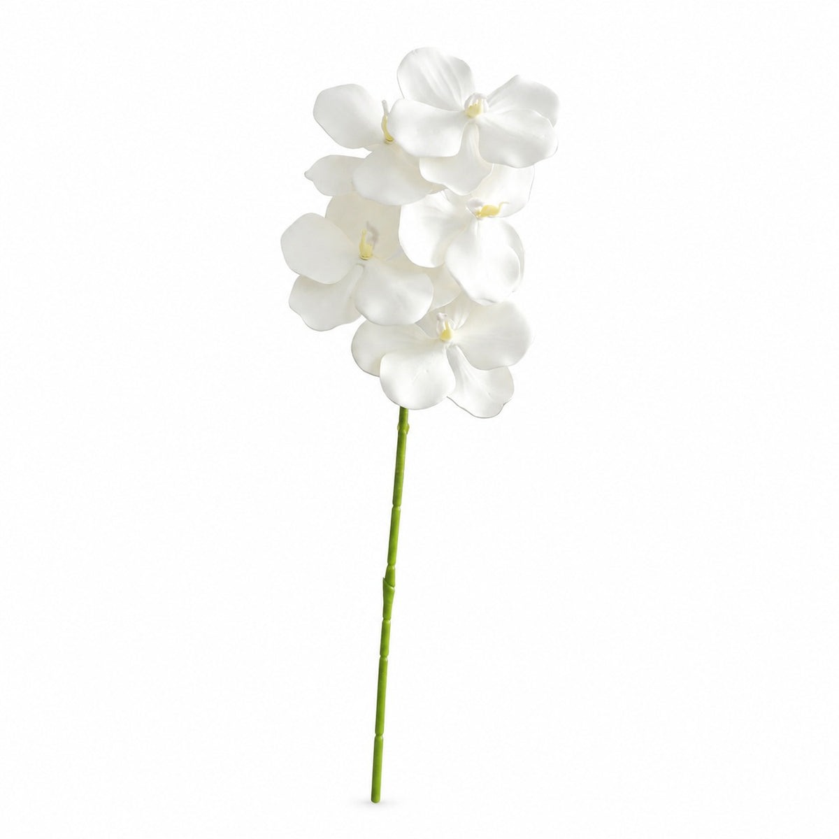 EVERIVELLE 3D Artificial Phalaenopsis Orchid Stem