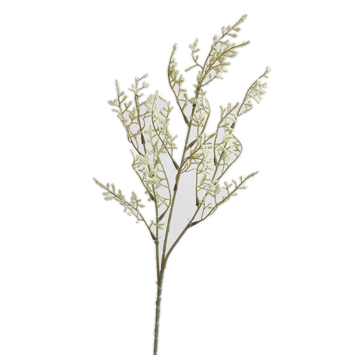 EVERIVELLE 19.7-Inch Artificial Dried-Look Botanical Branch
