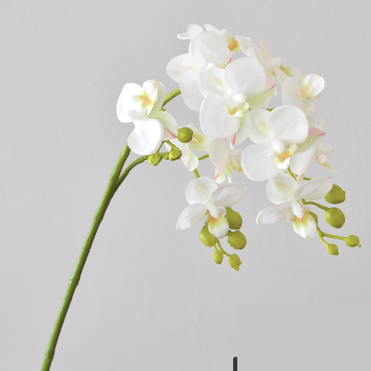 EVERIVELLE 12-Bloom Artificial Phalaenopsis Orchid Stem