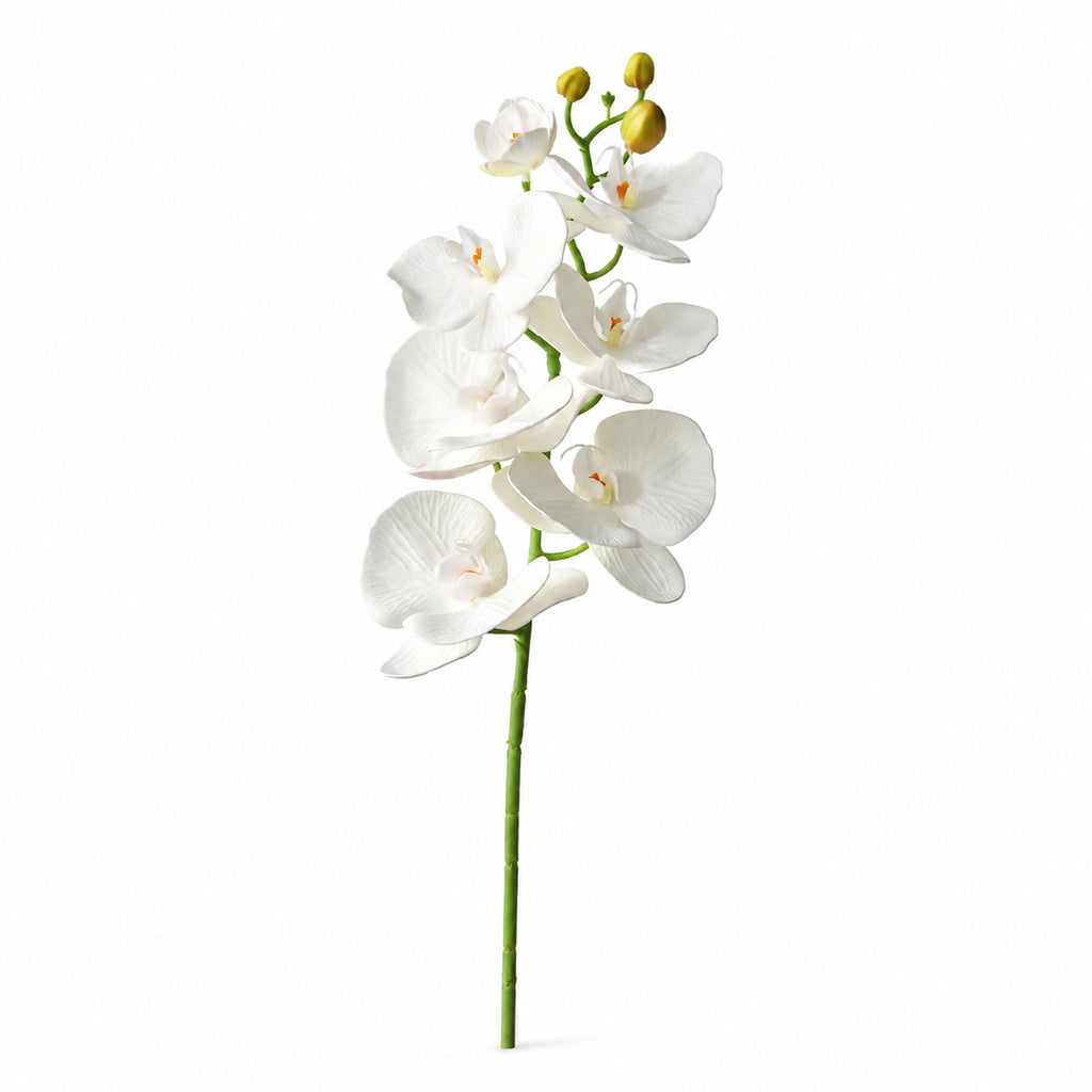 EVERIVELLE 29.9-Inch Seven-Head EVA Phalaenopsis Orchid Stem