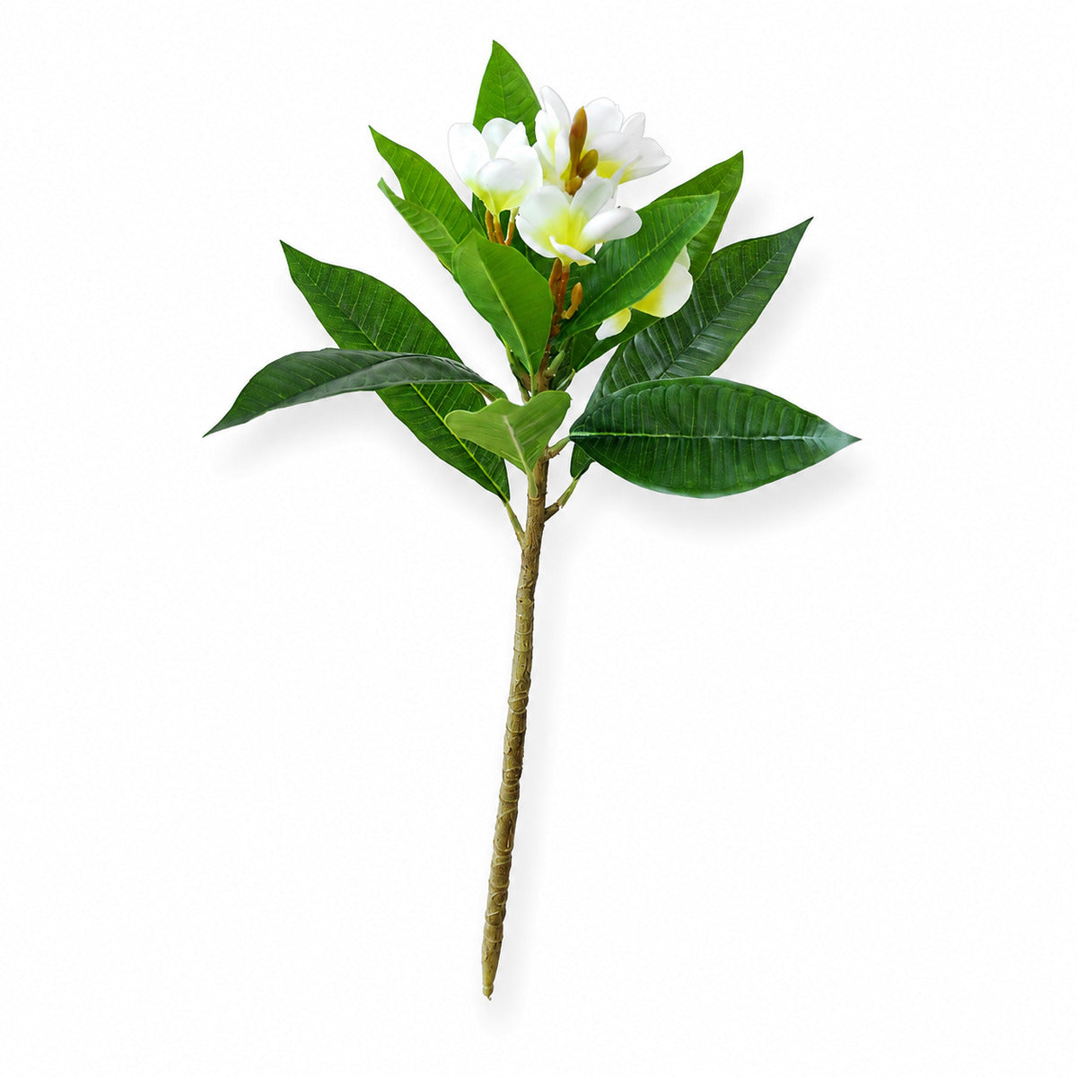 EVERIVELLE 24.4-Inch Artificial Plumeria Flower Branch