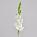 EVERIVELLE PU Artificial Gladiolus Stem