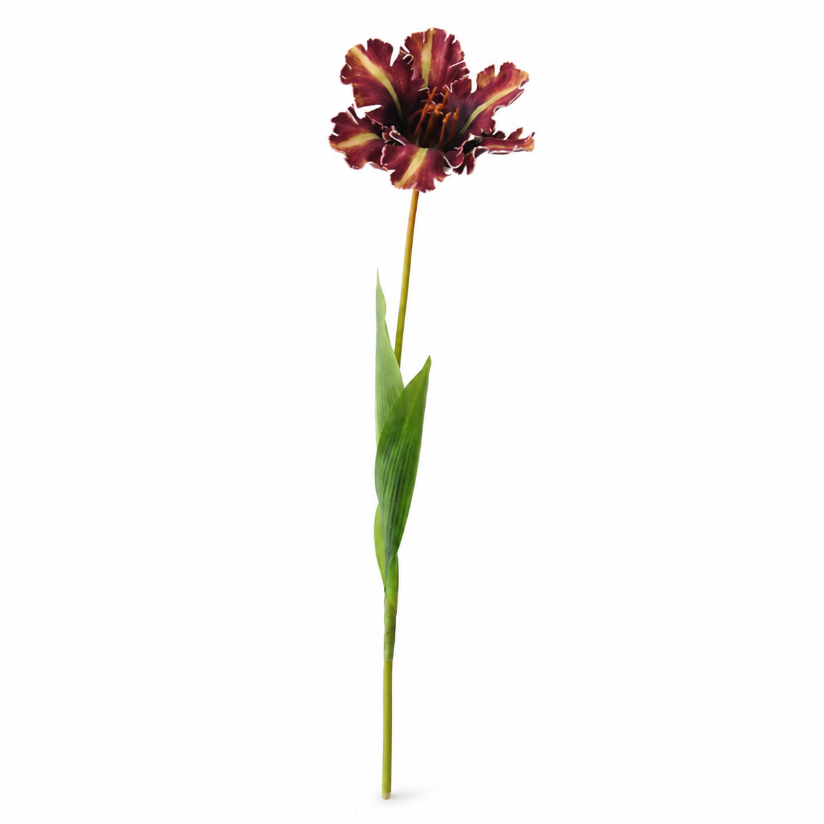 EVERIVELLE 27.6-Inch Open Parrot Artificial Tulip Stem