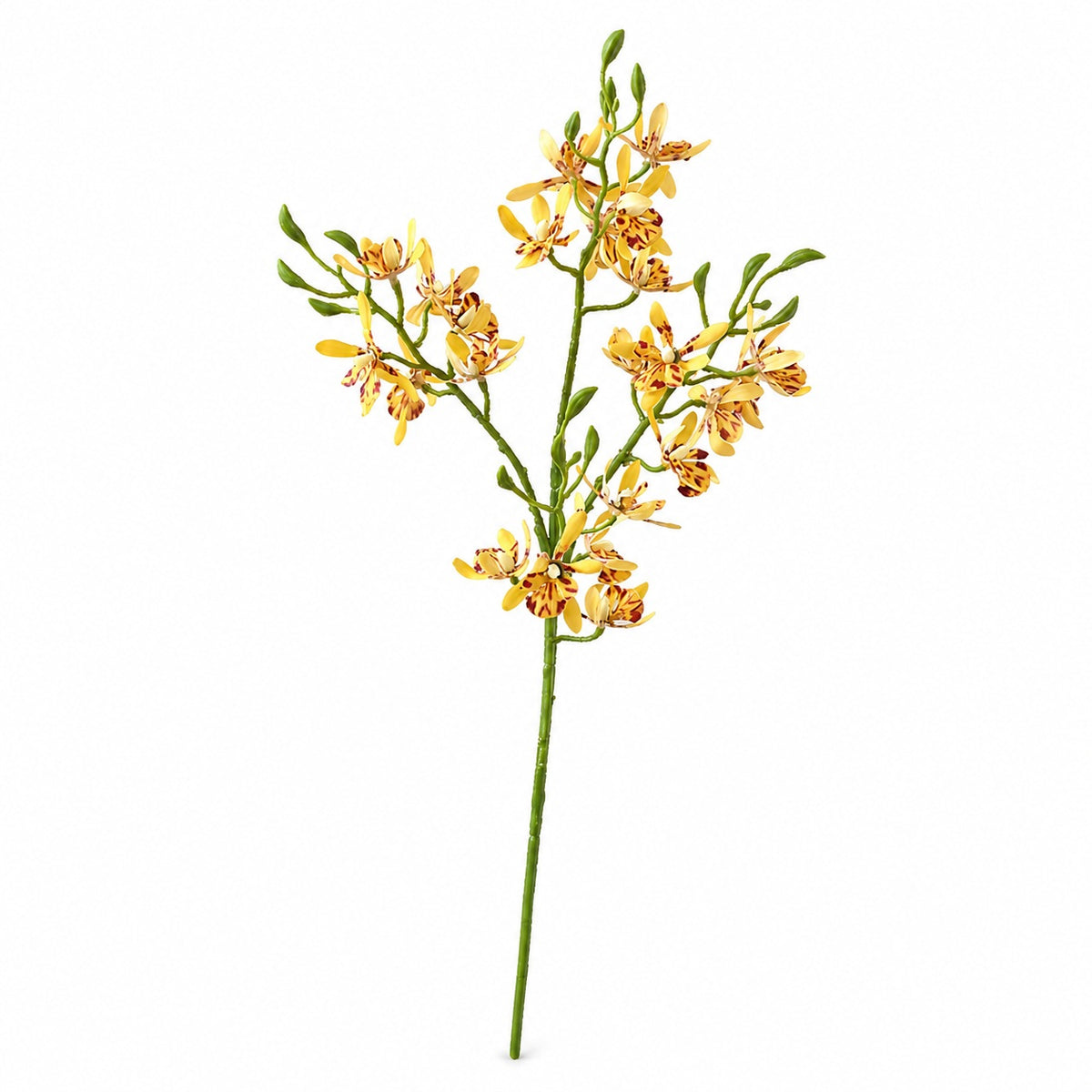 EVERIVELLE Artificial Vanda Orchid Spray