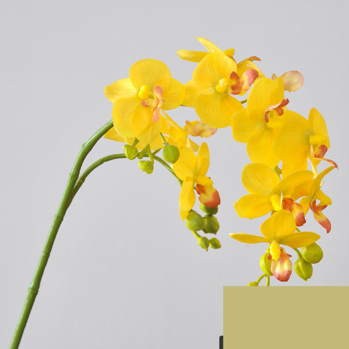 EVERIVELLE 12-Bloom Artificial Phalaenopsis Orchid Stem