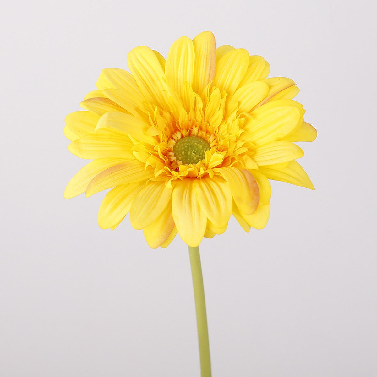 EVERIVELLE Real-Touch Artificial Gerbera Daisy Stem